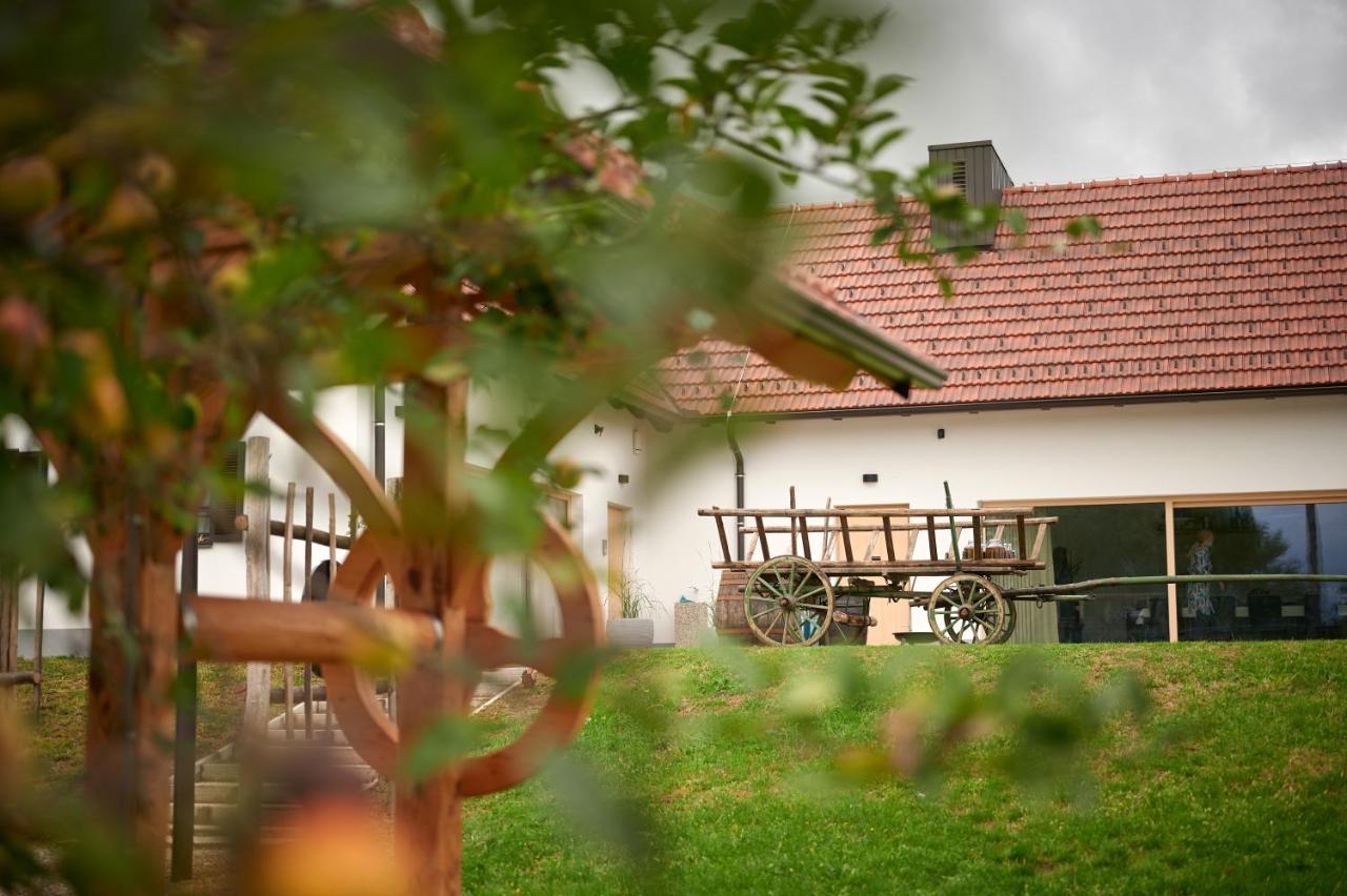 Villa Vinea Panonika Wine & Mind Retreat à Radenci Extérieur photo