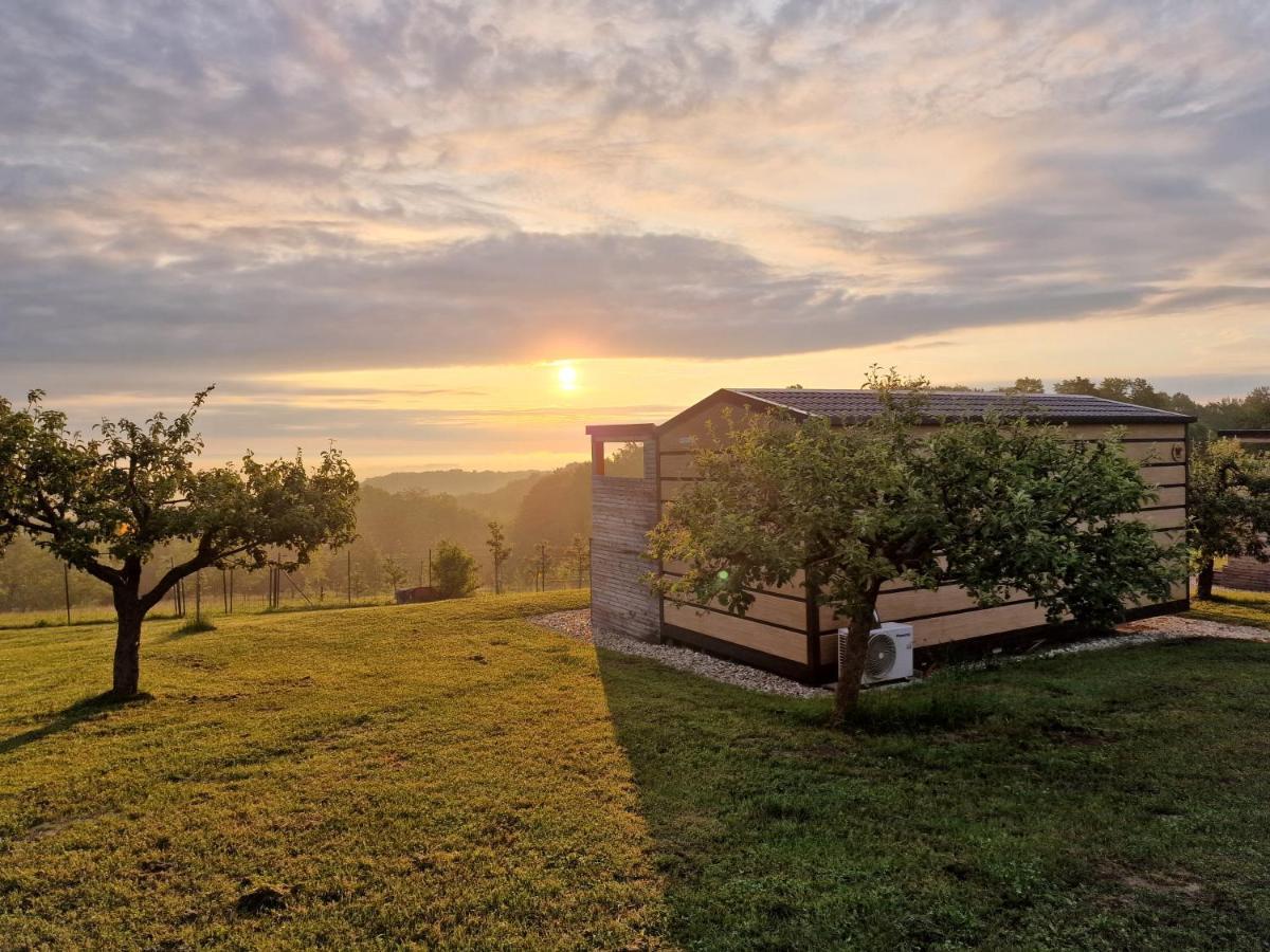Villa Vinea Panonika Wine & Mind Retreat à Radenci Extérieur photo